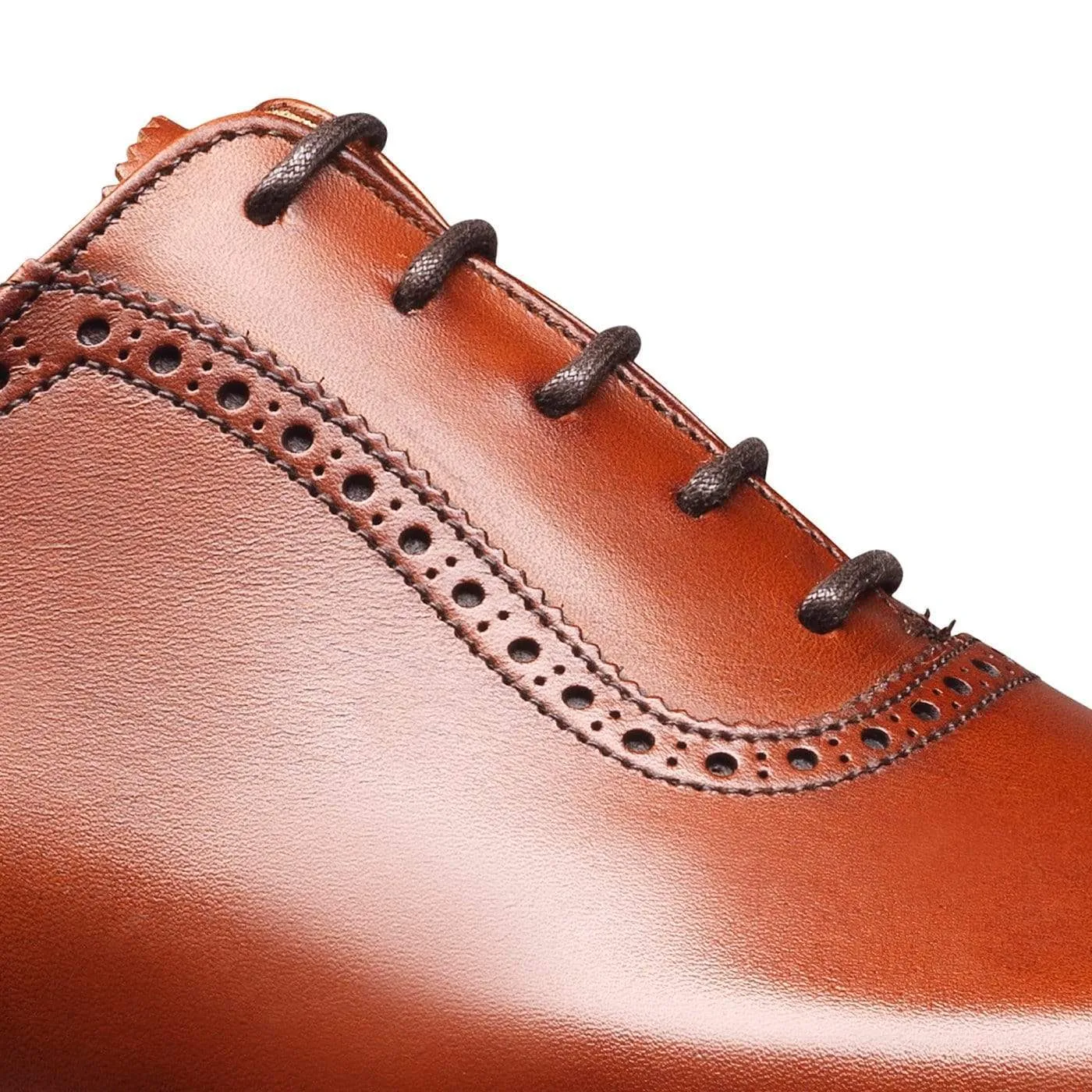 Westbourne Chestnut Burnished Calf Workday Comfort