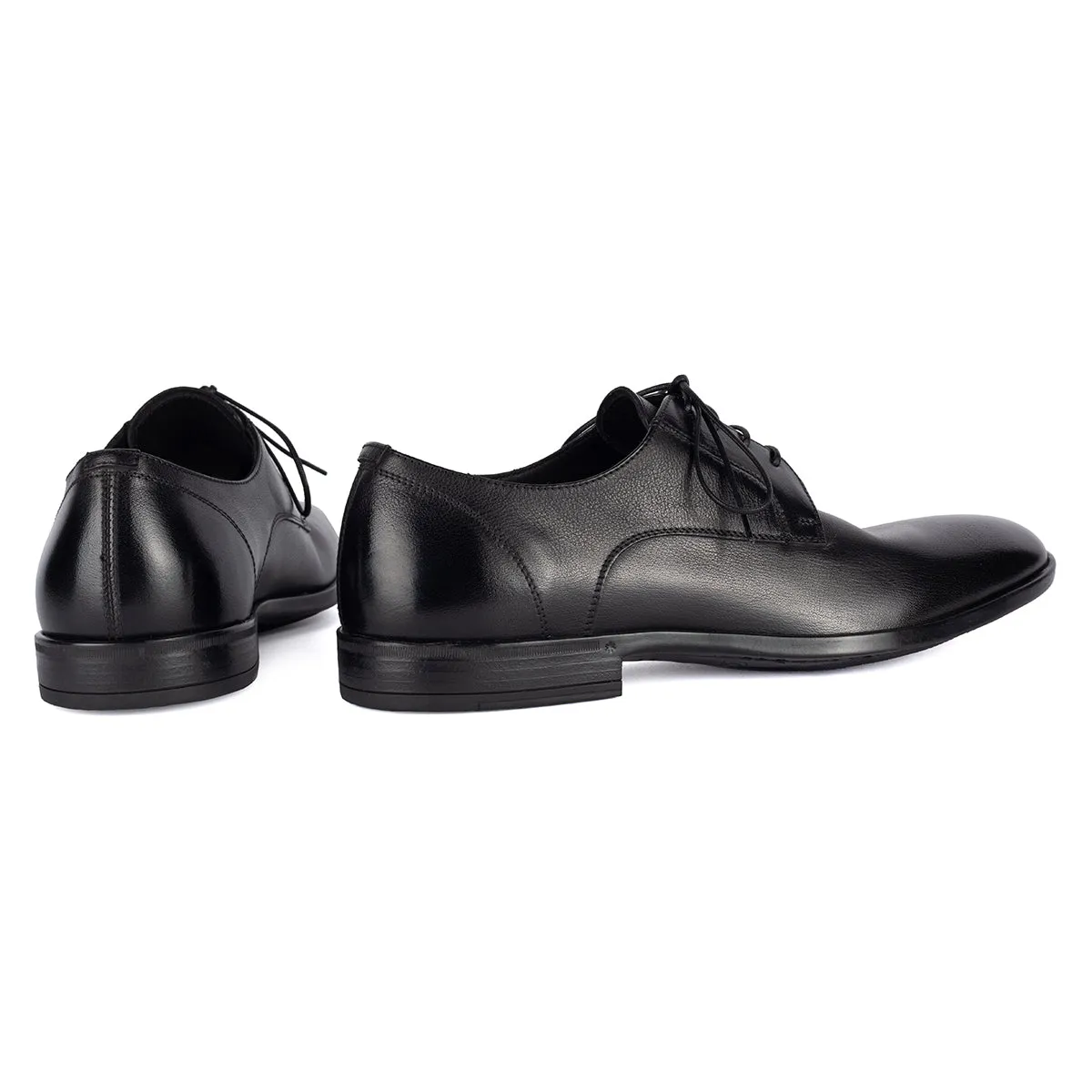 Padded collar ESSENTIAL JASON 89001<br>Black derby
