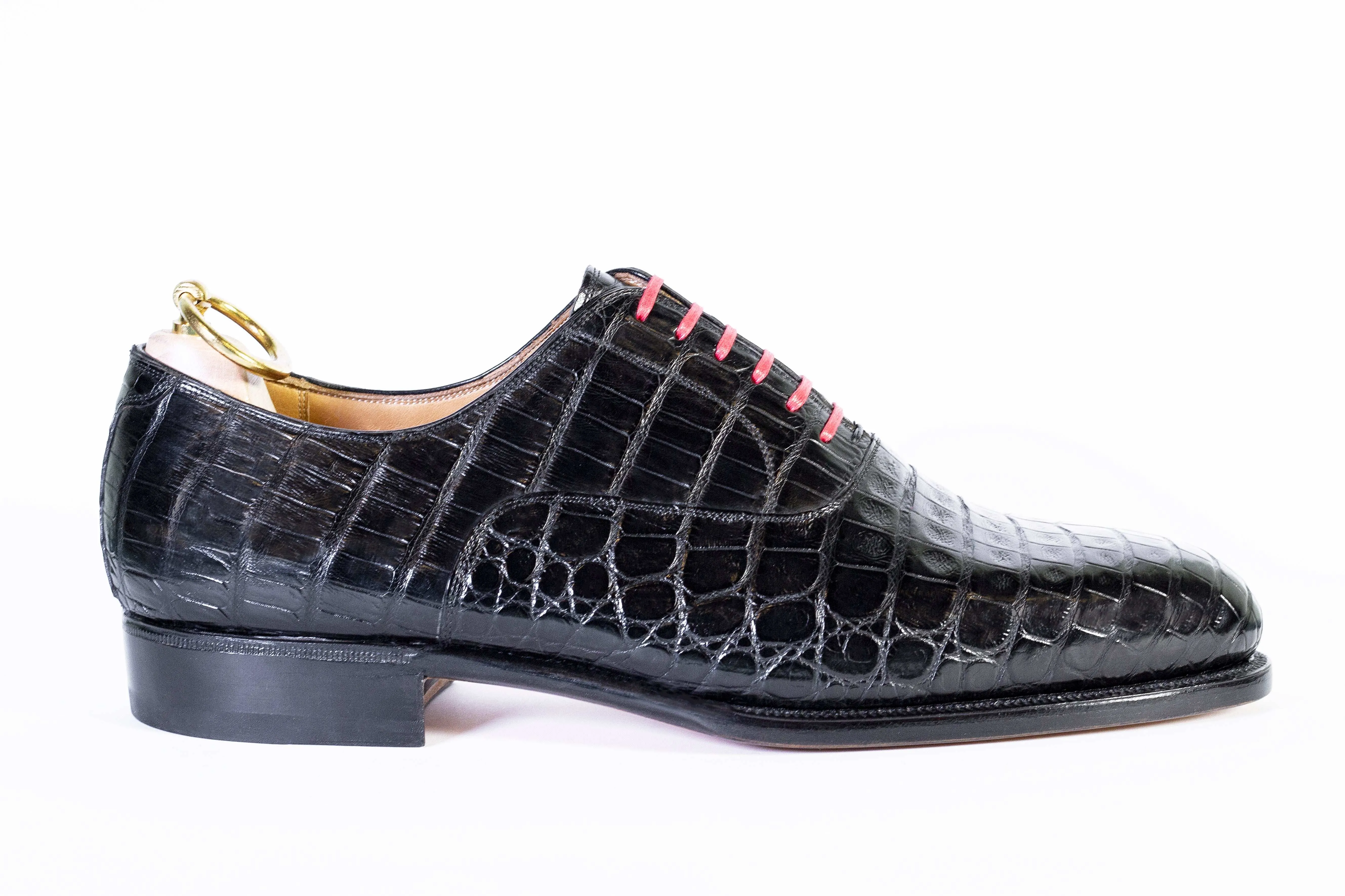 OXFORD PLAIN ALLIGATOR LEATHER Padded collar