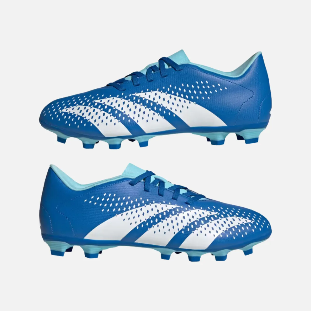 Adidas Predator Accuracy.4 Flexible Ground Football Studs -Bright Royal/Cloud White/Bliss Blue Rapid Control