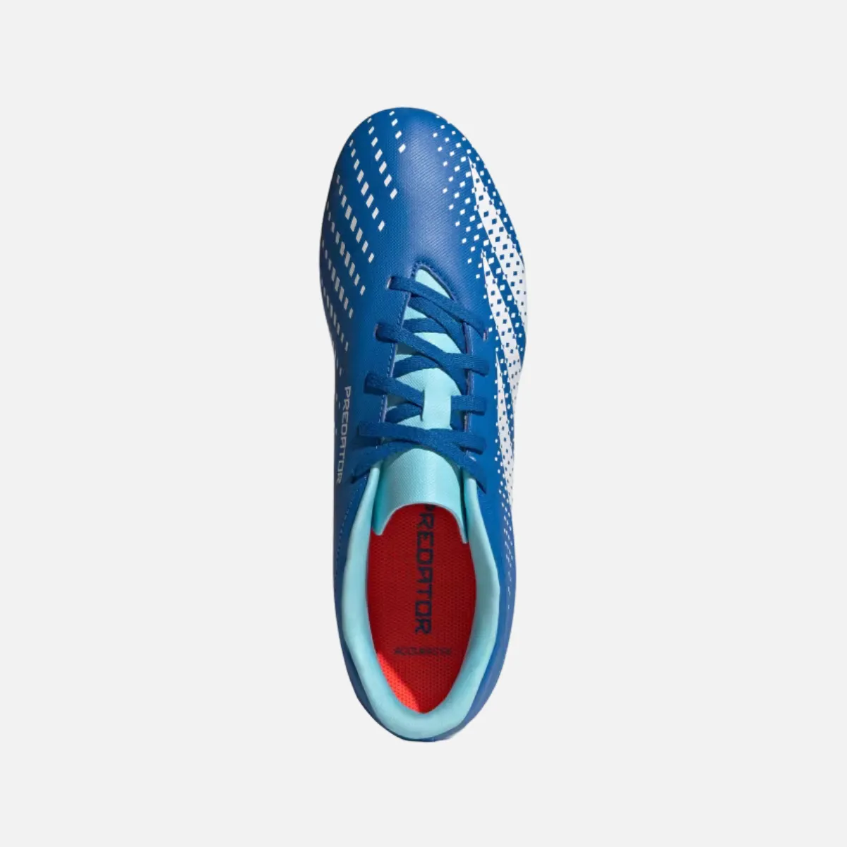 Solo Play Adidas Predator Accuracy.4 Flexible Ground Football Studs -Bright Royal/Cloud White/Bliss Blue