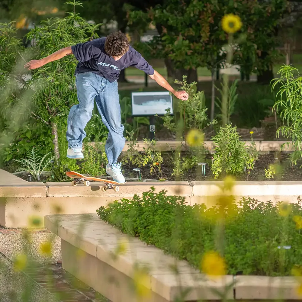 Sal 23 Kick Power Star Edge