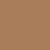 Pro Action DVS Comanche Shoes - Tan/Black/Red Nubuck