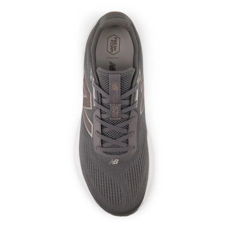 Icy Terrain New Balance 520v9 D Mens Running Shoes