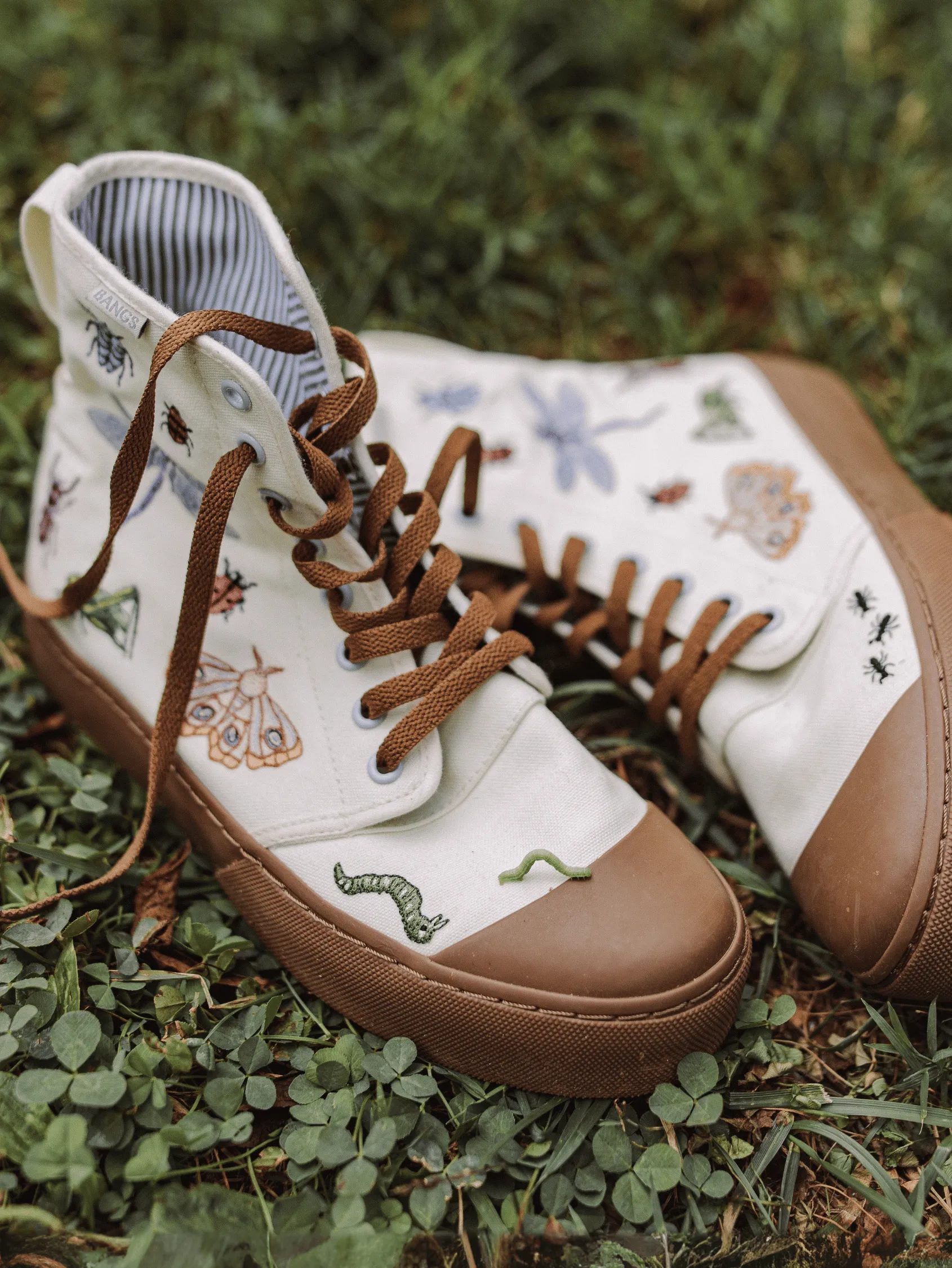 Backyard Bug Platform High Top City Daily